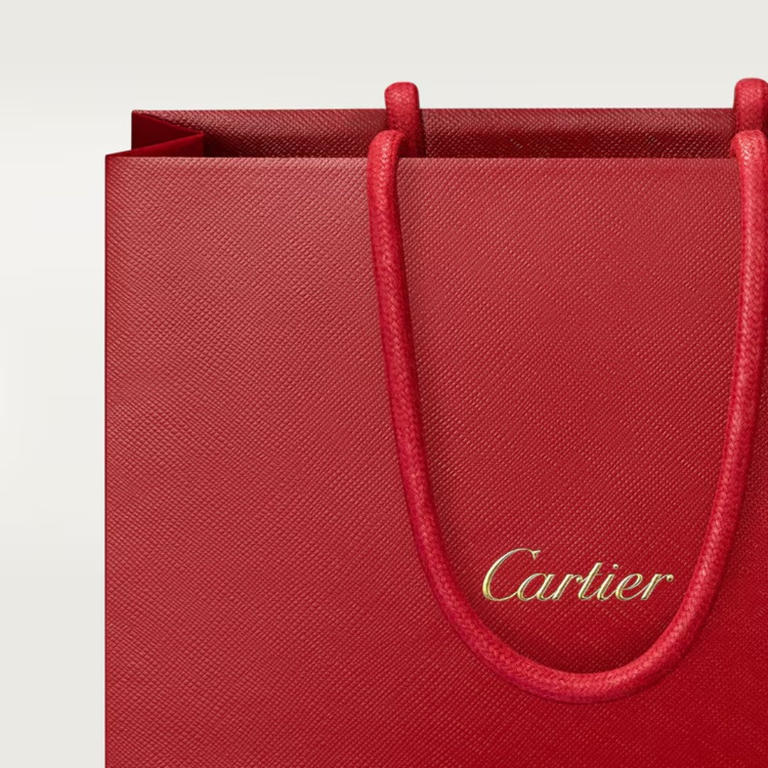 cartier _  Les Heures Voyageuses Oud Radieux 100ml